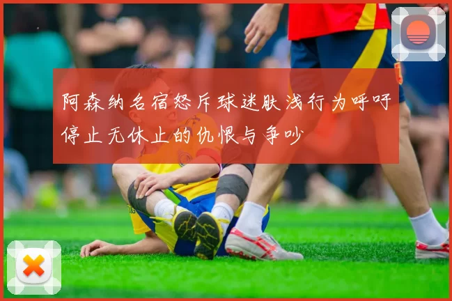 阿森纳名宿怒斥球迷肤浅行为呼吁停止无休止的仇恨与争吵
