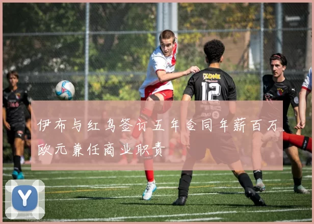伊布与红鸟签订五年合同年薪百万欧元兼任商业职责